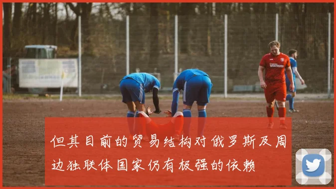 但其目前的贸易结构对俄罗斯及周边独联体国家仍有极强的依赖
