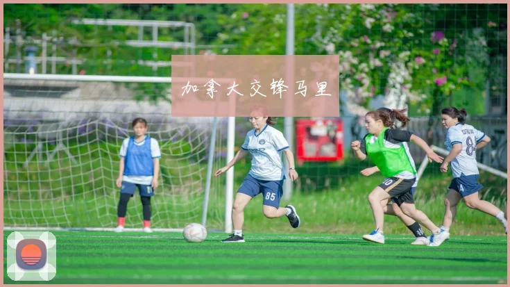 加拿大交锋马里