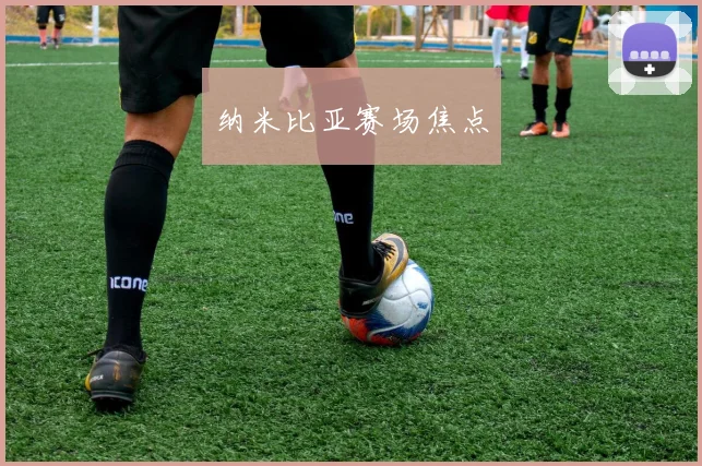 纳米比亚赛场焦点