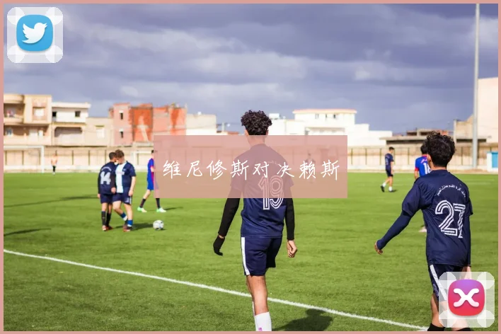 维尼修斯对决赖斯