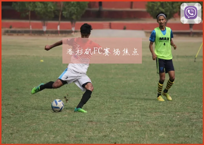 洛杉矶FC赛场焦点