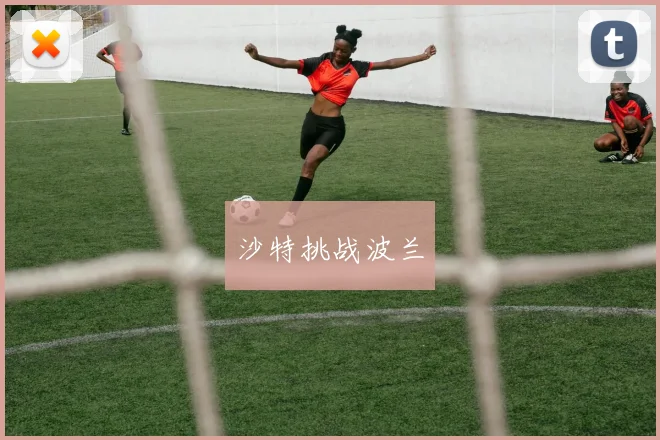 沙特挑战波兰
