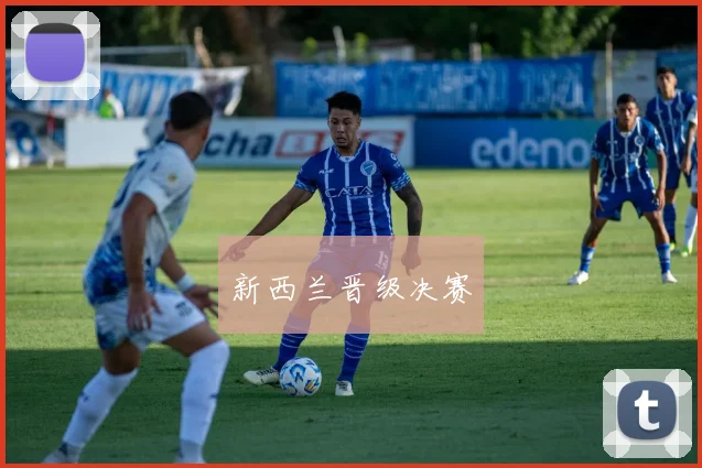 新西兰晋级决赛