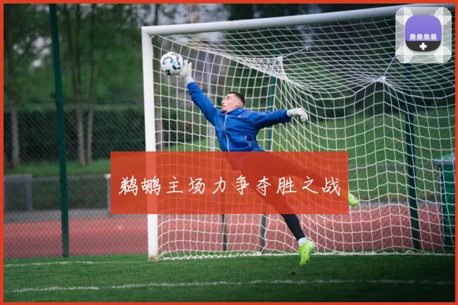 鹈鹕主场力争夺胜之战