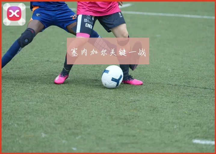 塞内加尔关键一战