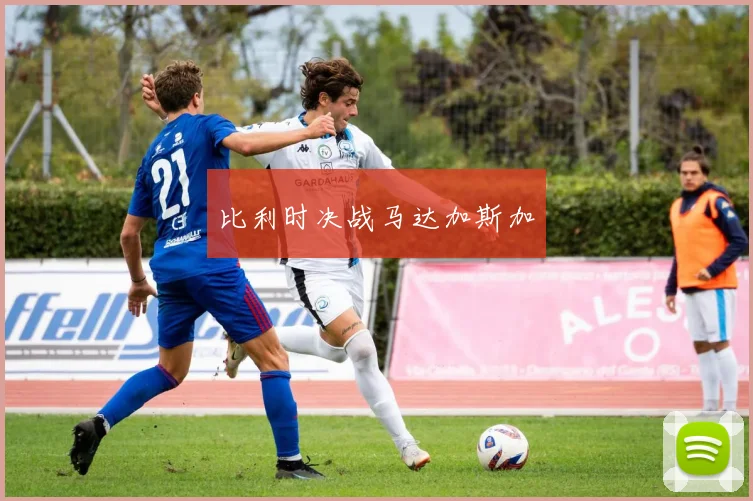 比利时决战马达加斯加