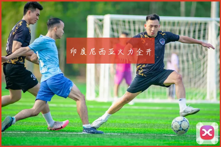 印度尼西亚火力全开