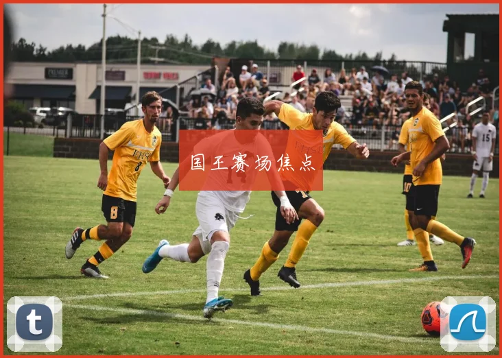 国王赛场焦点