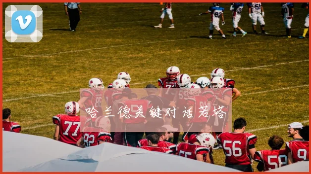 哈兰德关键对话若塔