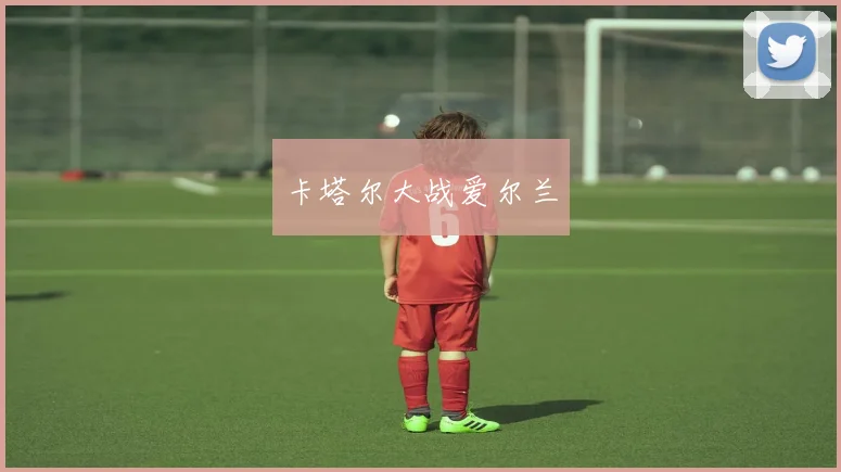 卡塔尔大战爱尔兰