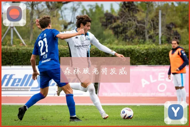 森林狼老将发威