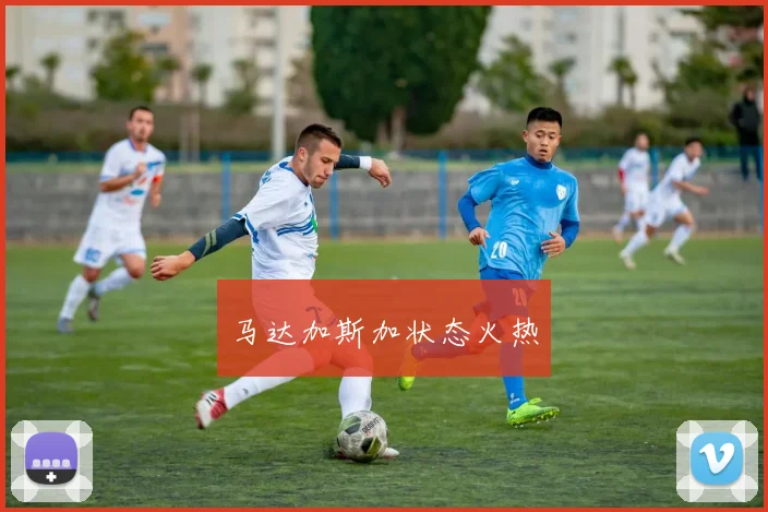 马达加斯加状态火热