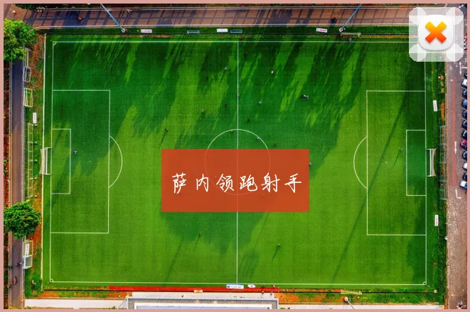 萨内领跑射手