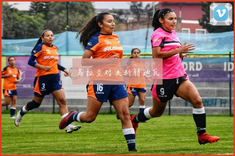 乌拉圭对决科特迪瓦