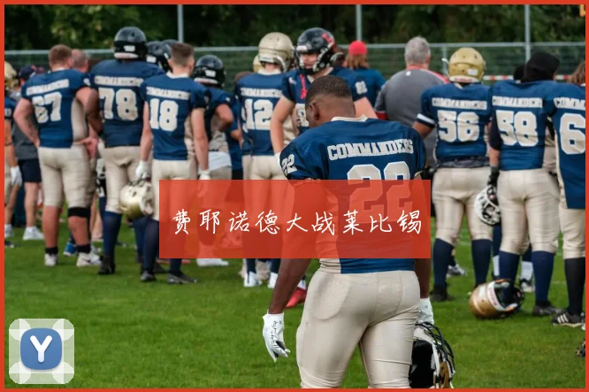 费耶诺德大战莱比锡