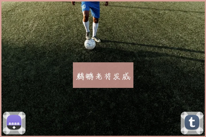 鹈鹕老将发威