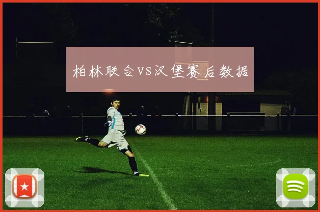 柏林联合vs汉堡赛后数据