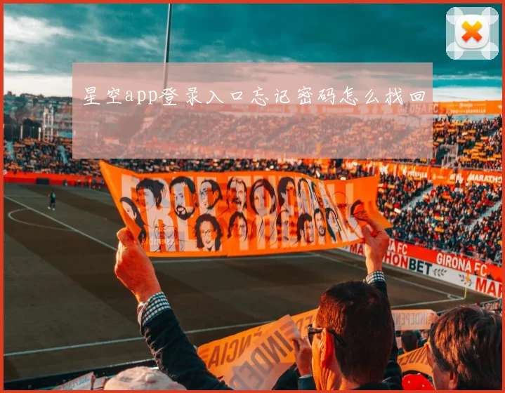 星空app登录入口忘记密码怎么找回